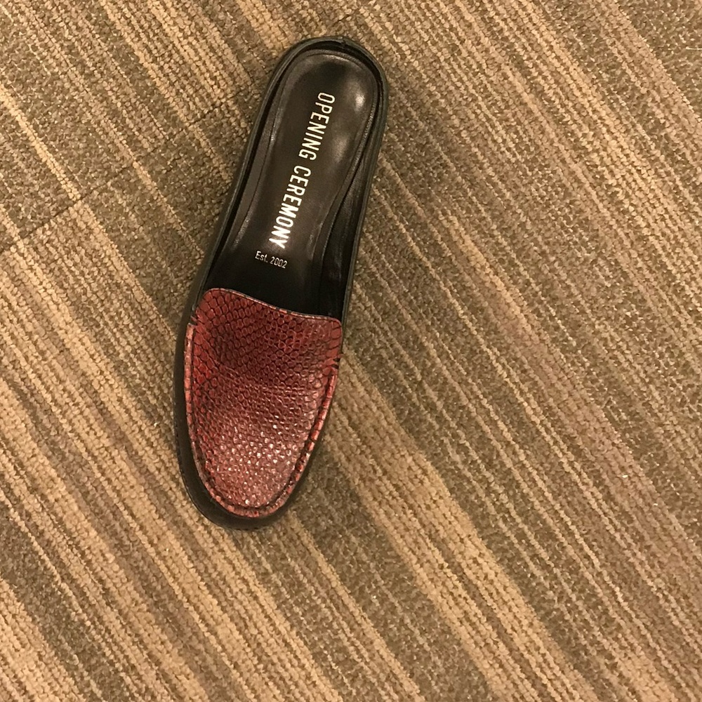 Opening Ceremony "nebula" slides